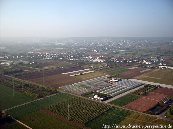 Gewächshäuser in Bornheim